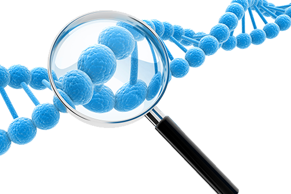 Magnifying glass over a DNA strand